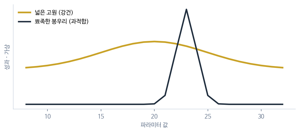 과최적화 (고원 vs 봉우리) 도식
